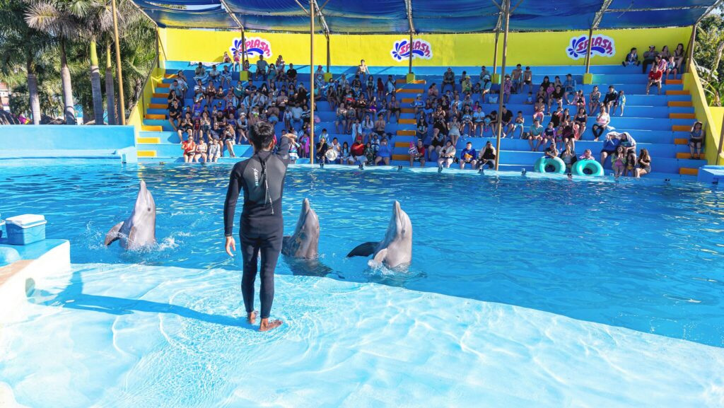 Toboganes y alberca para niños en hotel familiar recomendado para niños por HostpVallarta.
